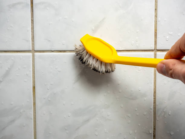  Jacksonville, TX Mold Removal Pros